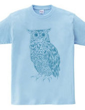 OWL (blue and green)