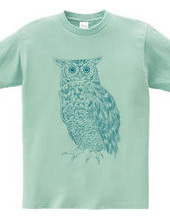 OWL (blue and green)