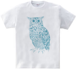 OWL (blue and green)