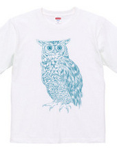 OWL (blue and green)