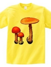 Orange mushroom