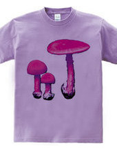 Pink mushroom