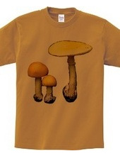 Yellow mushroom