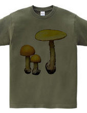 Yellow mushroom