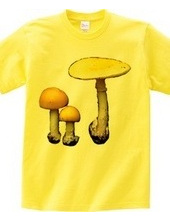 Yellow mushroom