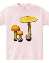 Yellow mushroom