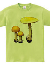 Yellow mushroom