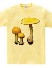 Yellow mushroom