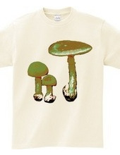 Khaki-colored mushroom