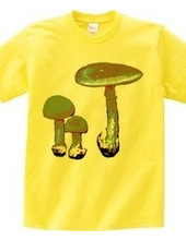 Khaki-colored mushroom