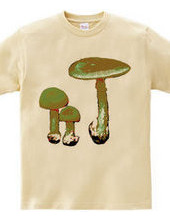 Khaki-colored mushroom