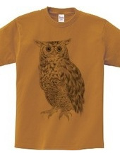 OWL black