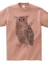 OWL black