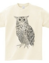 OWL　黒