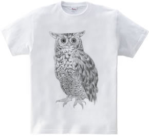 OWL　黒