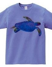 Sea turtle