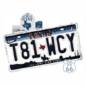 USED License plate TEXAS