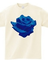 Blue rose