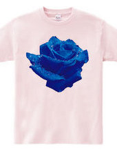 Blue rose