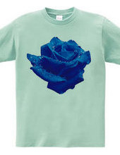 Blue rose