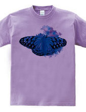 Blue butterfly