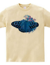 Blue butterfly