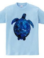 Blue turtle