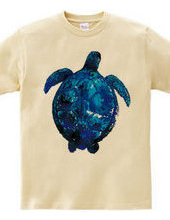 Blue turtle