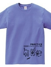 PRACTICE -cats-