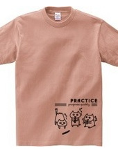 PRACTICE -cats-