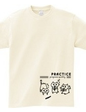 PRACTICE -cats-