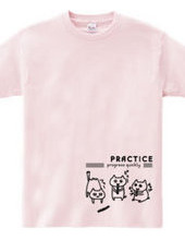 PRACTICE -cats-