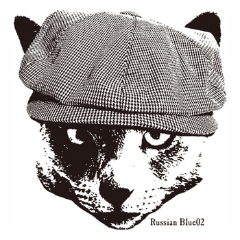 cool hat cat TYPE B