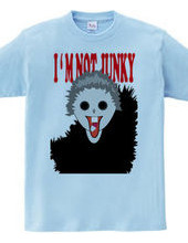 I M not JUNKY