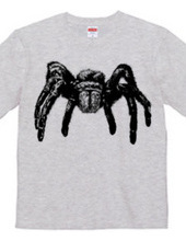 Tarantula