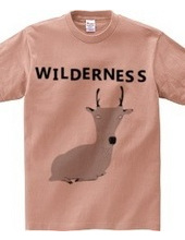 WILDERNESS