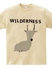 WILDERNESS