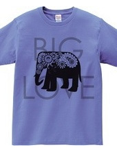 Paisley Elephant: Big Love