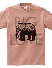 Paisley Elephant: Big Love