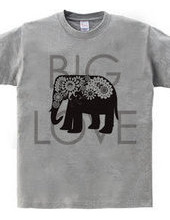 Paisley Elephant: Big Love