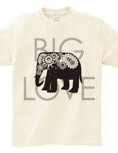 Paisley Elephant: Big Love