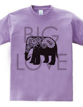 Paisley Elephant: Big Love