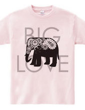 Paisley Elephant: Big Love