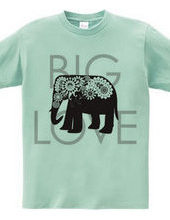 Paisley Elephant: Big Love