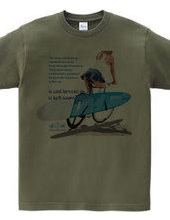 SURF BOARDER BIKE