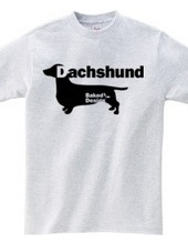 Dachshund 01