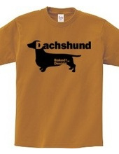 Dachshund 01