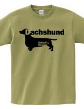 Dachshund 01