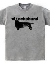 Dachshund 01