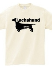 Dachshund 01